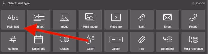add plain text field in webflow