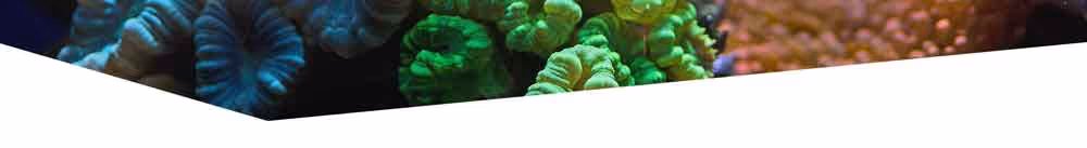 triangle uneven page divider