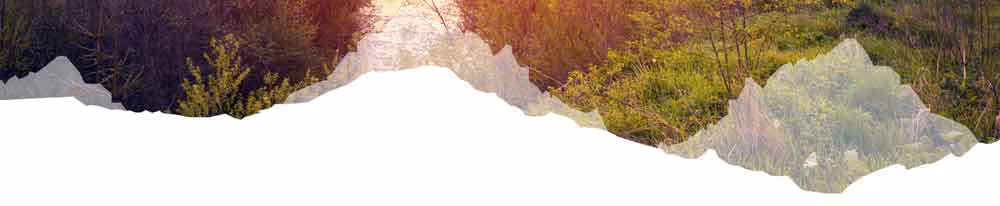 mountain section divider