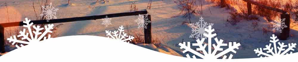 snowflake page divider